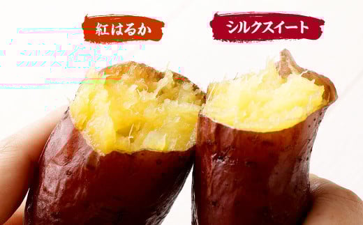 熊本県産 シルクスイート ・ 紅はるか 食べくらべ セット 各約1.5kg 合計約3kg 【2026年1月上旬発送開始】 さつま芋 さつまいも 芋 いも 食べ比べ べにはるか 野菜 やさい