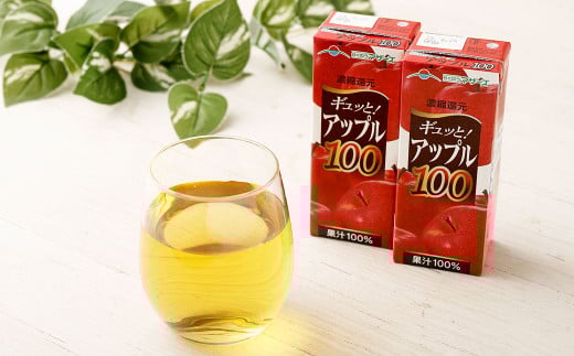 【3か月連続定期便】アップル100 200ml×12本×3回 合計36本 合計7.2L 厳選 りんご 果汁 100% 濃縮還元 林檎 ジュース リンゴジュース 常温 飲料 熊本県 らくのうマザーズ