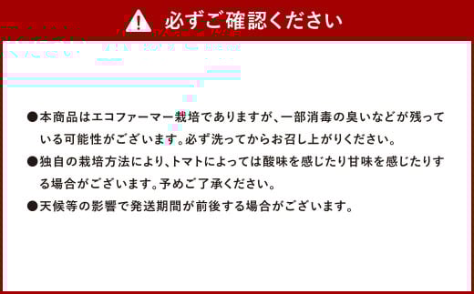 【年3回定期便/2026年1月発送開始】 ソムリエ ミニトマト プラチナ 3kg×3回 合計9kg とまと トマト 野菜 やさい 熊本県産 国産
