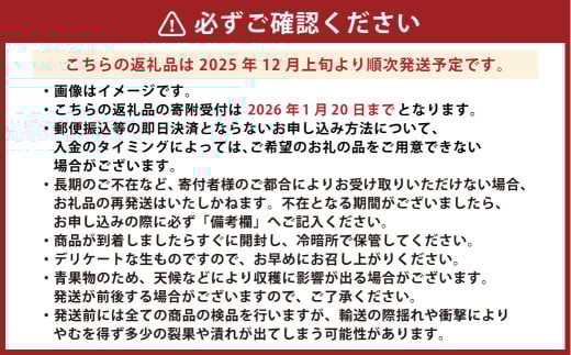 熊本県産 ハウス デコポン 約3kg 蜜柑 みかん 柑橘 果物 くだもの フルーツ 【2025年12月上旬発送開始】