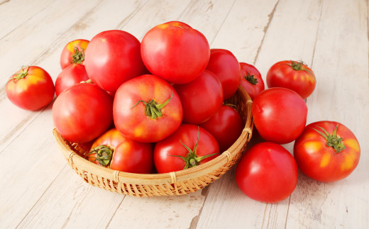 ソムリエ トマト 4kg × 2箱 合計8kg とまと トマト 野菜 やさい 熊本県産 国産 【2026年2月上旬発送開始】