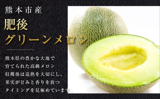 熊本市産 肥後グリーンメロン2玉４L以上 約4kg 【2026年4月下旬～2026年７月下旬発送予定】メロン 青肉 甘いフルーツ プレゼント 贈答 贈り物 果物 熊本県