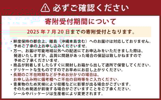 熊本県産ハウス蜜柑 約2キロ前後 果物 フルーツ みかん 蜜柑 ミカン ハウスみかん 約2kg前後 常温 熊本県産 【2025年7月上旬発送開始】