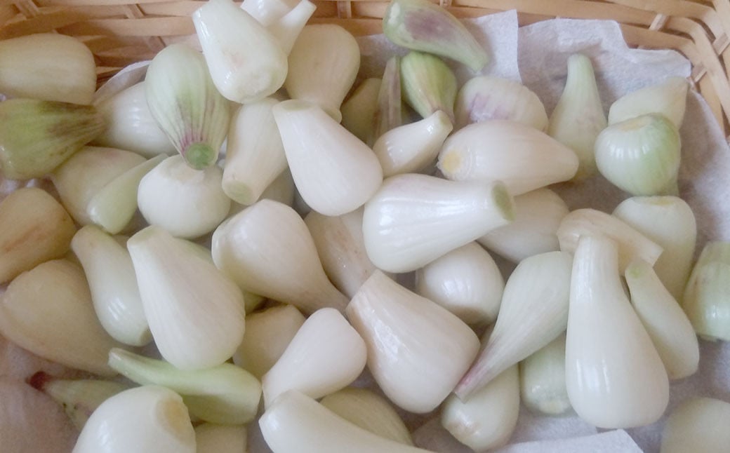 熊本県産黒らっきょうの力