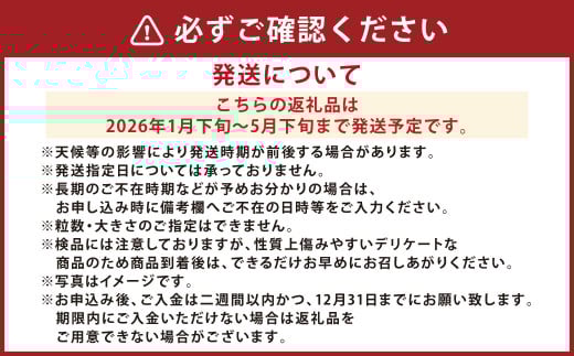 【5か月連続定期便】『まるで太陽の恵みをそのまま閉じ込めたような真っ赤な大玉トマト』約3.5kg×5回 計17.5㎏ 特別な定期便 （熊本県産） 【2026年1月下旬発送開始】野菜 やさい トマト とまと 大玉トマト