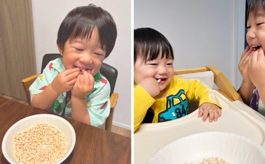 おこめのおやつ 大袋 4袋セット おこめ 米 コメ お米 おかし おやつ お菓子 お砂糖不使用 無添加 国産 熊本県産