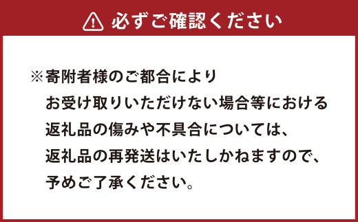 熊本水俣にある桜野園のお茶 自然栽培の茶あかね （べにふうき紅茶） 2袋入り紅茶 お茶 ギフト