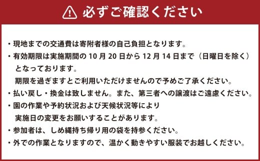 【体験期間10月20日～12月14日】 熊本宇土で作られた香り高いハーブで作るオリジナルしめ縄づくり体験 （ペア） ／ 1組 2名様分 しめ縄づくり しめ縄作り しめ縄 体験 【2026年10月下旬～12月上旬発送予定】