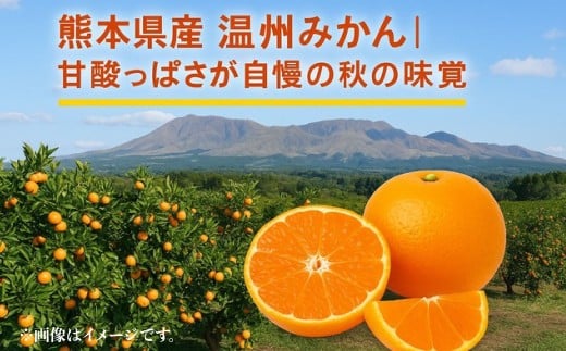 熊本県産温州みかん 5kg（30-35玉）【2026年11月下旬発送開始】 熊本県産 国産 温州 みかん ミカン おやつ 果物 果実 フルーツ 5kg 30 35玉