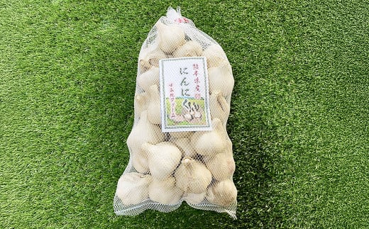 熊本県産 生にんにく 1kg 【2025年11月下旬発送開始】 にんにく ニンニク 生ニンニク 野菜 やさい 熊本県 常温