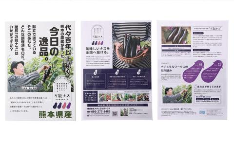 木山さん家の万能ナス 3kg なす ナス 野菜