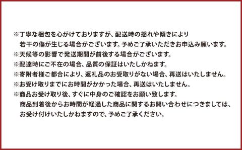 【秋の2ヵ月連続定期便】 熊本県産 旬のフルーツ ( 梨 約5kg・ シャインマスカット 2房 ) 定期便 なし マスカット 果物 くだもの
