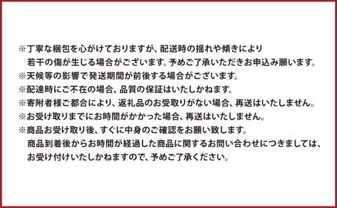 【秋の2ヵ月連続定期便】 熊本県産 贅沢旬のぶどう 定期便 合計4房 約2.6kg シャインマスカット マスカット ぶどう 葡萄 果物 くだもの フルーツ