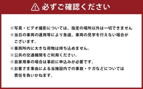 【2023年3月4日開催】新幹線ラッピング体験＆お絵描き 1組 最大5名 新幹線 鉄道 800系 体験型 チケット アクティビティ