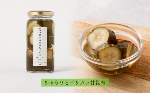 【熊本みなみピクルス】おつまみにおすすめ4本セット