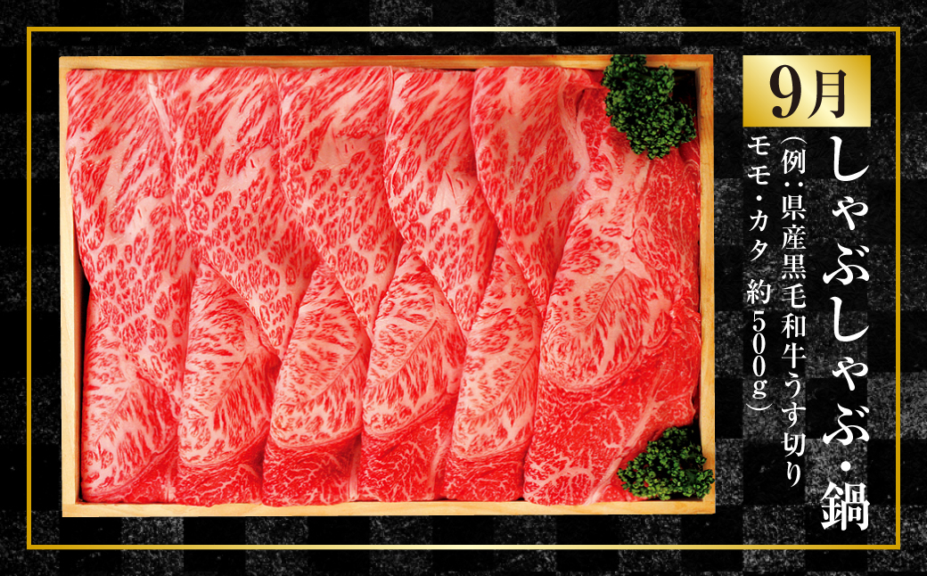 【年4回定期便】くまもと肉の極み定期便① 黒毛和牛 和牛 定期便 熊本県産 肉 お肉 牛肉 牛 国産