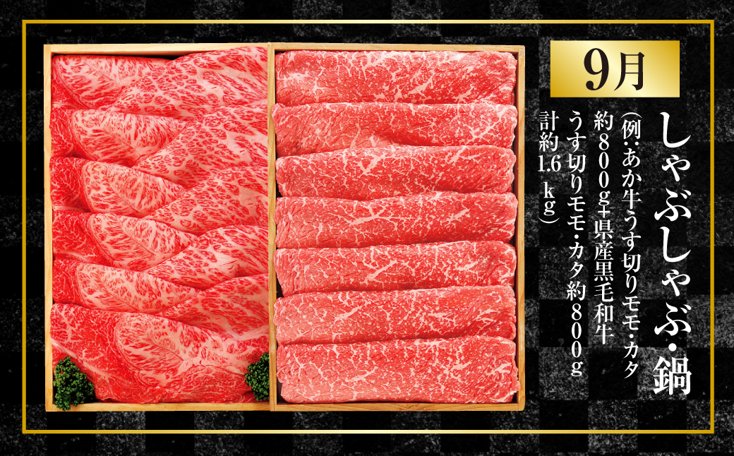 【年4回定期便】くまもと肉の極み定期便③ 食べ比べ あか牛 赤牛 くまもとあか牛 黒毛和牛 和牛 定期便 熊本県産 肉 お肉 牛肉 牛 国産