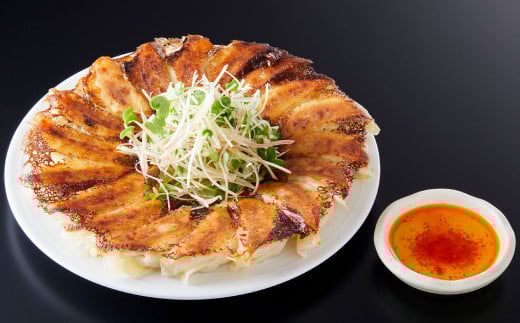 【年3回定期便】にんにくたっぷり 伝説の塩ぎょうざ 100個×3回 合計300個 餃子 ぎょうざ 惣菜 お惣菜 中華