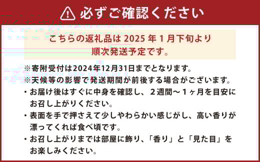 晩白柚 2玉 【2025年1月下旬発送開始】