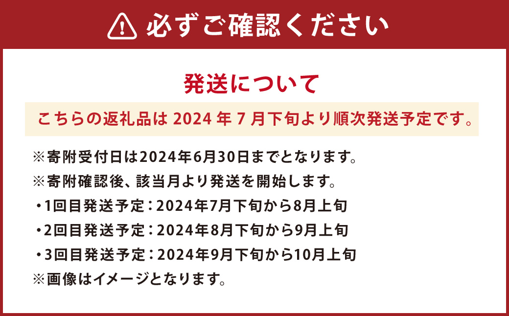 【年3回定期便】【2024年7月下旬発送開始】 くまもとの 梨 食べ比べ 定期便 約3kg×3回 合計約9kgナシ フルーツ くだもの 果物
