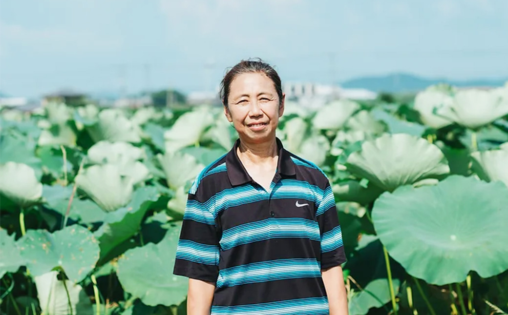 肥後れんこんの里 れんこん茶 70g×2袋 合計140g お茶 茶 飲料 茶葉 れんこん 蓮根 蓮根茶 れんこん茶 やさい 野菜 加工品 長期保存 熊本県産 国産