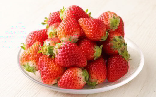 熊本県産 さがほのか 約2kg いちご 苺 イチゴ 【2025年2月上旬発送開始】