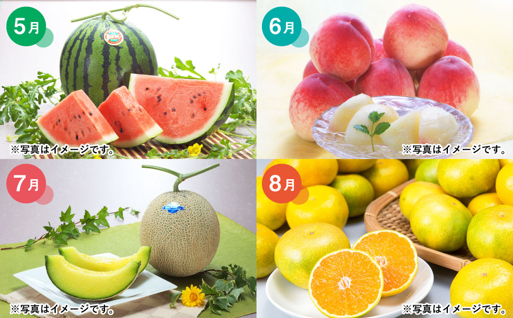 【12か月連続定期便】熊本便り！ 旬のフルーツ 単品定期便 くだもの 果物 フルーツ 熊本県産 国産