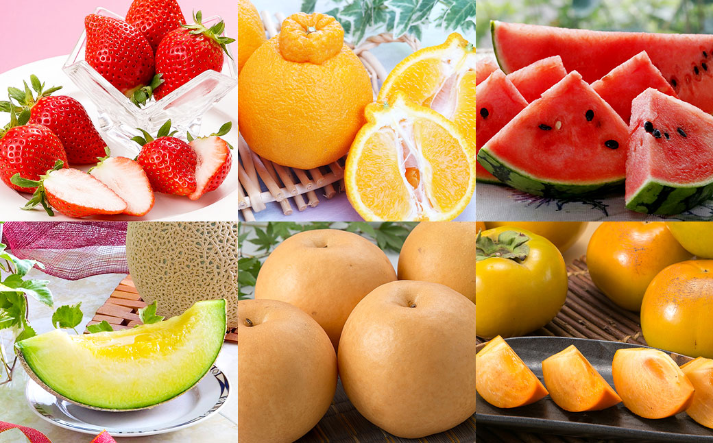 【年3回定期便】熊本の人気フルーツ堪能定期便（1月・5月・10月発送） 熊本県産 果物 毎月お届けギフト