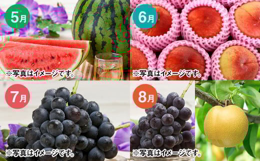 【年12回定期便】吉次園の熊本 フルーツ 定期便 ｜果物 くだもの 苺 いちご みかん 柑橘 メロン すいか 桃 ぶどう 梨 柿 みかんジュース