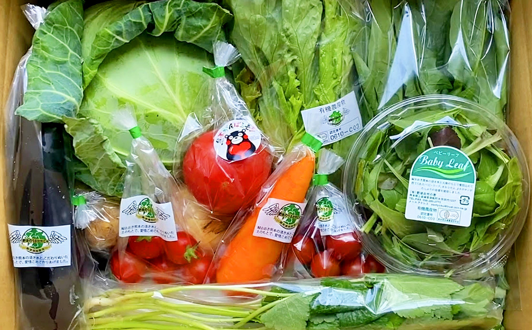 【12か月連続定期便】熊本季節の野菜セット 16品目 ｜ やさい 野菜 季節 旬 新鮮 定期便 熊本県 国産
