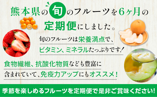 【6ヶ月定期便】熊本県フルーツ6ヶ月定期便