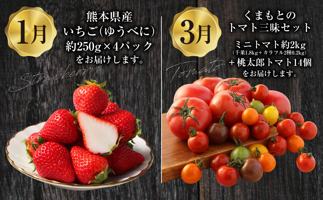 【年4回定期便】「くまもとの赤」定期便① いちご （ゆうべに） ミニトマト （千果・カラフル2種）＋ 桃太郎トマト くまもとあか牛 クルマエビ 5種 フルーツくだもの 果物 苺 やさい 野菜 トマト 牛肉 肉 お肉 車エビ 海老 エビ