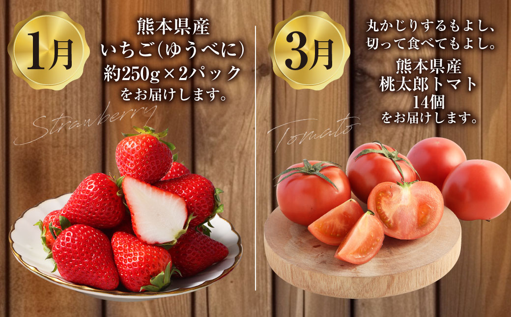 【年4回定期便】「くまもとの赤」定期便② いちご（ゆうべに） 桃太郎トマト くまもとあか牛 クルマエビ 4種 フルーツくだもの 果物 苺 やさい 野菜 トマト 牛肉 肉 お肉 車エビ 海老 エビ
