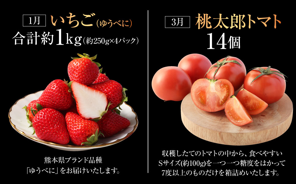 【年6回定期便】くまもとぐるっと名産品満喫定期便② いちご（ゆうべに） 桃太郎トマト いちじく くまもとあか牛 梨（あきづき） クルマエビ 6種 フルーツ くだもの 果物 野菜 やさい 肉 お肉 牛肉 海老 えび 車エビ 魚介 名産品 特産品 熊本県産 国産