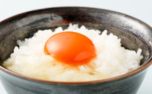 熊本県天草市で生まれたブランド卵「天草タマンゴ」6個入 ／ 化粧箱×6回 計36個 化粧箱入 【6ヶ月連続定期便】 卵 たまご タマゴ 生卵 生たまご 卵黄 卵 定期便 6回 熊本県 天草市