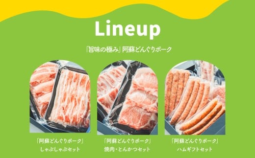 【年3回連続定期便】 スザンヌが選ぶ熊本ギフト どんぐりポーク 定期便3ヶ月 ／ 3回定期便 豚肉 ウィンナー 粗挽きウィンナー チーズ チョリソー ベーコン ボンレスハム お肉 肉 スザンヌ 定期便 九州 熊本県 冷凍