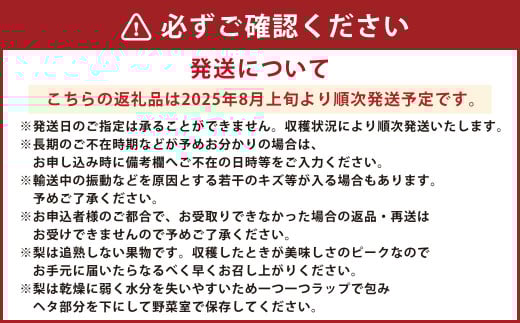 くまもと梨 約3kg （4玉～9玉） 【2025年8月上旬発送開始】 フルーツ くだもの 果物 なし ナシ 梨 熊本県産 国産