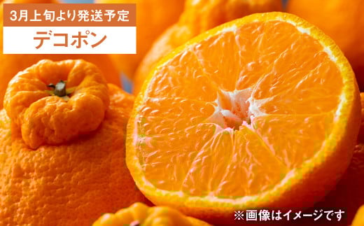 【年6回定期便】くまもとの 柑橘 定期便 不知火 デコポン 温室みかん 一番出荷極早生みかん 完熟温州みかん 果物 フルーツ くだもの みかん 蜜柑