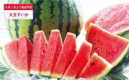 【年3回定期便】 くまもと の すいか 食べ比べ 定期便 合計4玉 スイカ 西瓜 果物 くだもの フルーツ 【2026年4月上旬発送開始】