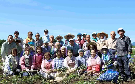 フタワのにら餃子 20g×50個×3袋 合計150個 （3kg） 餃子 ぎょうざ ギョウザ にら餃子 にら ニラ 中華 中華惣菜 惣菜 お惣菜 点心 おかず