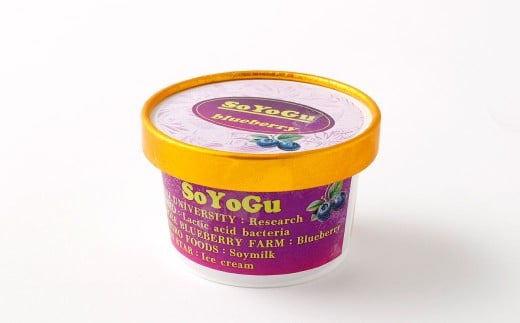 SOYOGU8個セット ブルーベリー 豆乳 8個 阿蘇 アイス 熊本県産