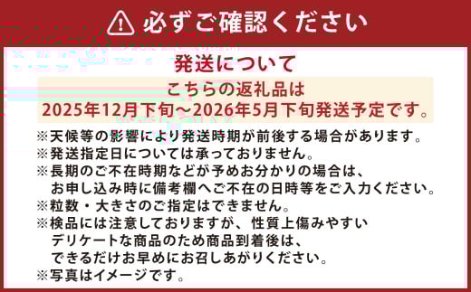 『まるでフルーツのような特選ミニトマト』 約3kg 1箱 熊本県産 【2025年12月下旬発送開始】 野菜 やさい トマト とまと ミニトマト