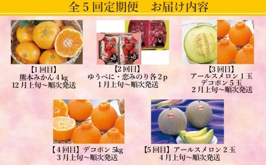【年5回定期便】 熊本おすすめフルーツ定期便（みかん・いちご・メロン＆デコポン・デコポン・メロン） 【2026年12月上旬発送開始】 みかん ミカン 蜜柑 いちご 苺 イチゴ メロン アールスメロン デコポン フルーツ 果物 くだもの 果実 果汁 定期便 年5回 熊本県 熊本県産