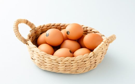 熊本県天草市で生まれたブランド卵「天草タマンゴ」10個入 化粧箱入 卵 たまご タマゴ 生卵 生たまご 卵黄 卵 熊本県 天草市