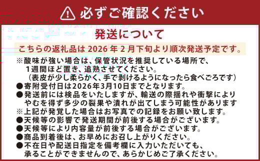 不知火 約3kg （約10玉程） 柑橘 果物 しらぬい みかん 蜜柑 くだもの 【2026年2月下旬発送開始】