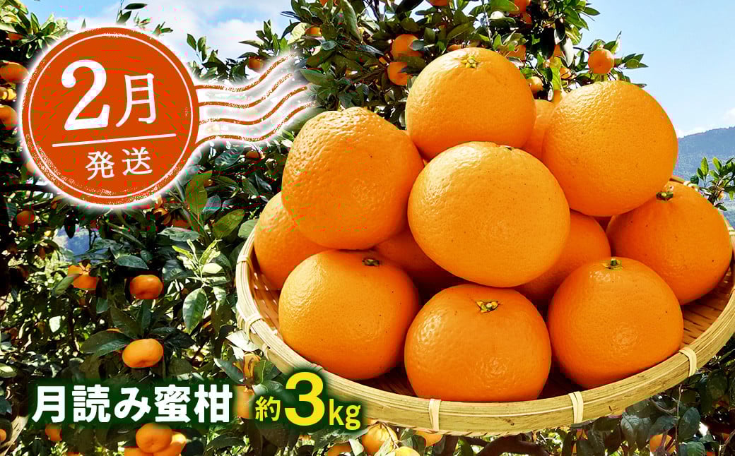 【年4回定期便】にしだ果樹園の熊本県産季節の月読みフルーツ定期便