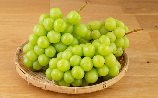 【年6回定期便】くまもとのフルーツ定期便 晩白柚 デコポン すいか メロン シャインマスカット マンゴー なし みかん