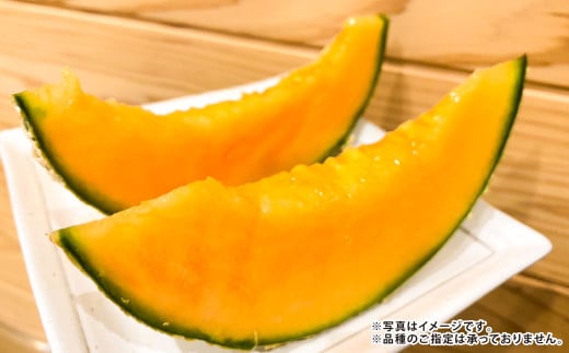 【年2回定期便】『まるで果物の王様！贅沢メロン』 2玉セット×2回 合計4玉 2色楽しめる特別な定期便 【2026年1月下旬発送開始】熊本県産 フルーツ くだもの 果物 メロン 果実 果肉 おやつ 国産