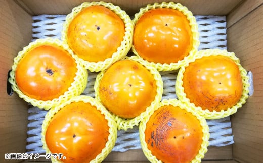 熊本県産 太秋柿 2kg 【2025年10月下旬発送開始】 フルーツ くだもの 果物 かき 柿