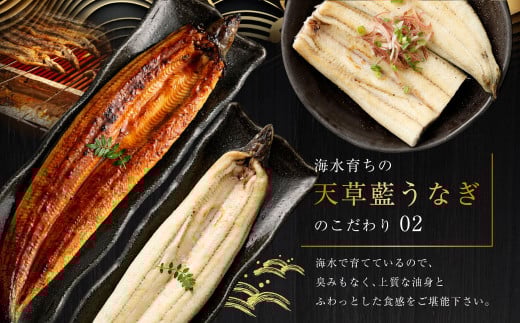 海水育ちの天草藍うなぎ 紅白3～4尾セット 合計約600g タレ付き うなぎ 鰻 ウナギ 蒲焼き かば焼き うなぎの蒲焼 魚 お魚